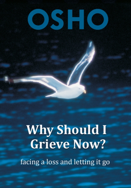 Why Should I Grieve Now? : facing a loss and letting it go, EPUB eBook