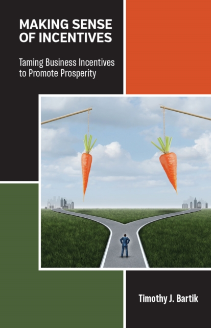 Making Sense of Incentives, EPUB eBook