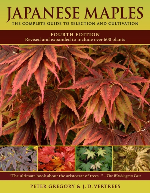 Japanese Maples : The Complete Guide to Selection and Cultivation, Fourth Edition, Hardback Book
