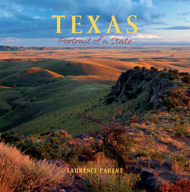 Texas : Portrait of a State, EPUB eBook
