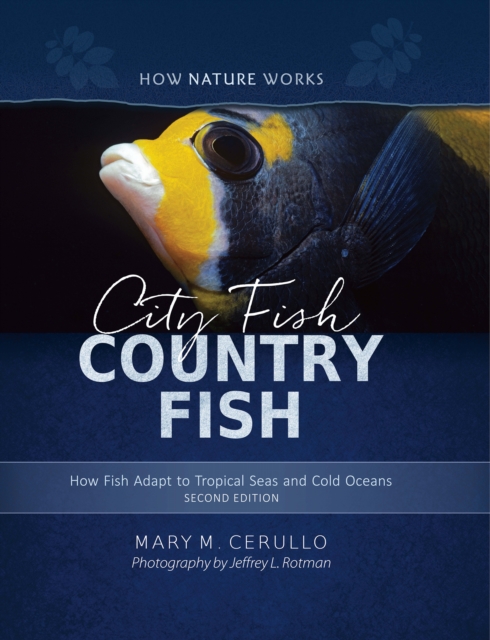City Fish Country Fish : How Fish Adapt to Tropical Seas and Cold Oceans, EPUB eBook