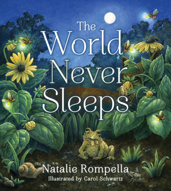 The World Never Sleeps, EPUB eBook