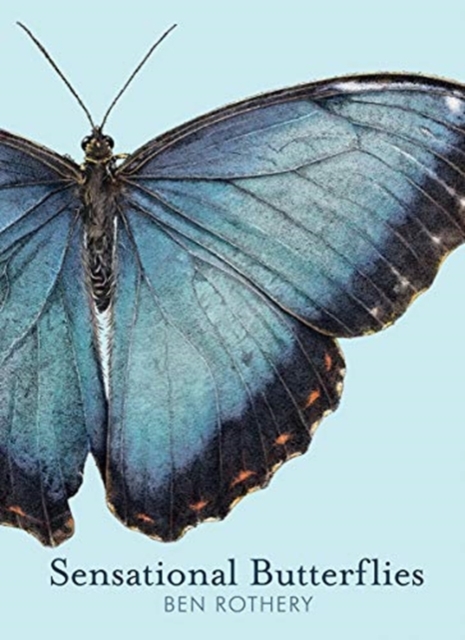 Sensational Butterflies, Hardback Book