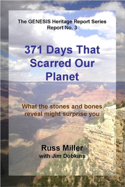 371 Days That Scarred Our Planet, EPUB eBook