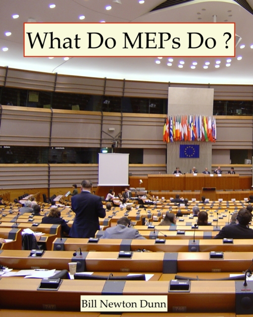 What Do MEPs Do ? : MEPs from 17 Countries Write About the 7th European Parliament, EPUB eBook