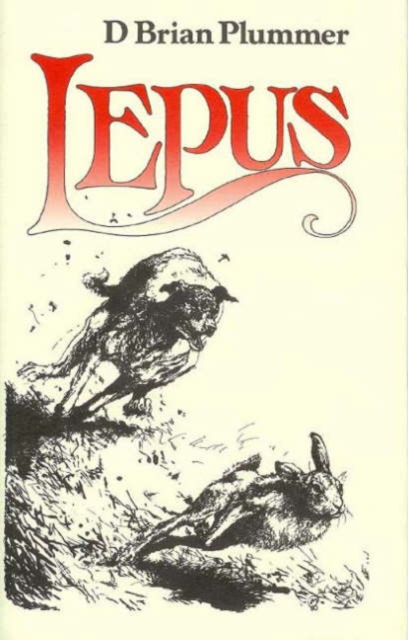 Lepus : The Story of a Hare, Hardback Book