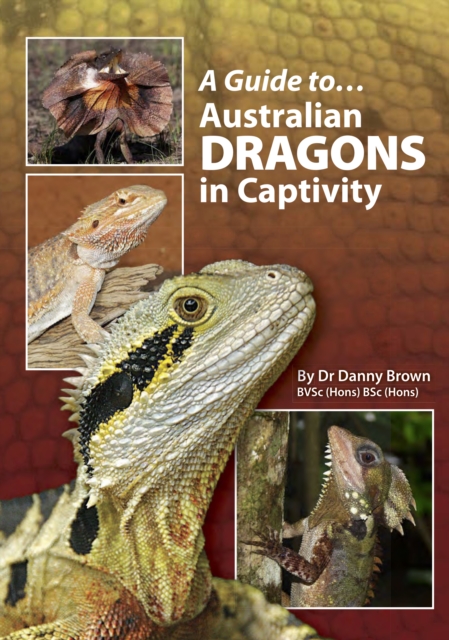 A Guide to Australian Dragons in Captivity, EPUB eBook