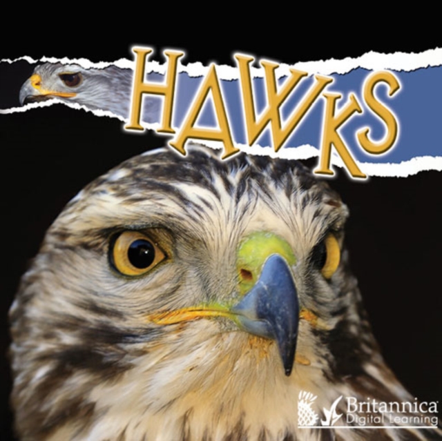 Hawks, PDF eBook