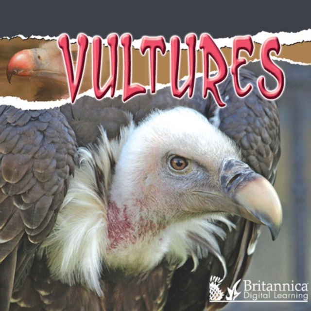 Vultures, PDF eBook