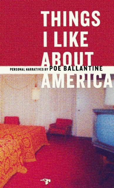 Things I Like About America : Personal Narratives, EPUB eBook