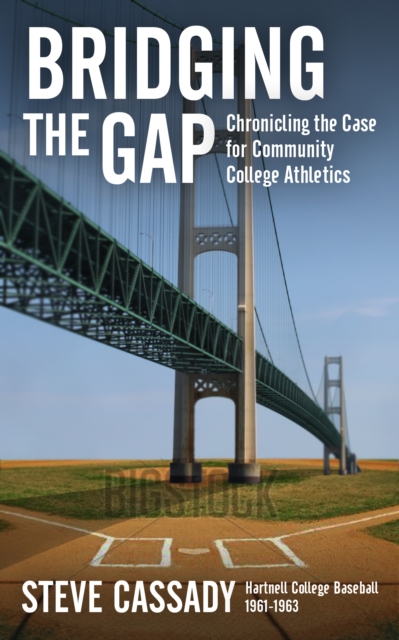 Bridging the Gap, EPUB eBook