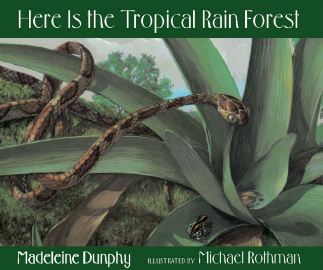 Here Is the Tropical Rain Forest, EPUB eBook