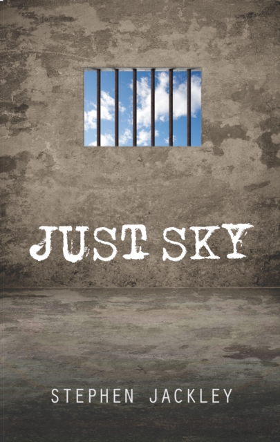 Just Sky, Book Book