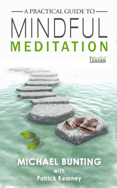 Practical Guide to Mindful Meditation, EPUB eBook