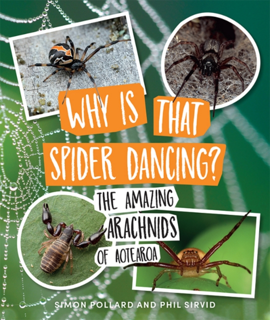 Why Is That Spider Dancing? : The Amazing Arachnids of Aotearoa, Paperback / softback Book