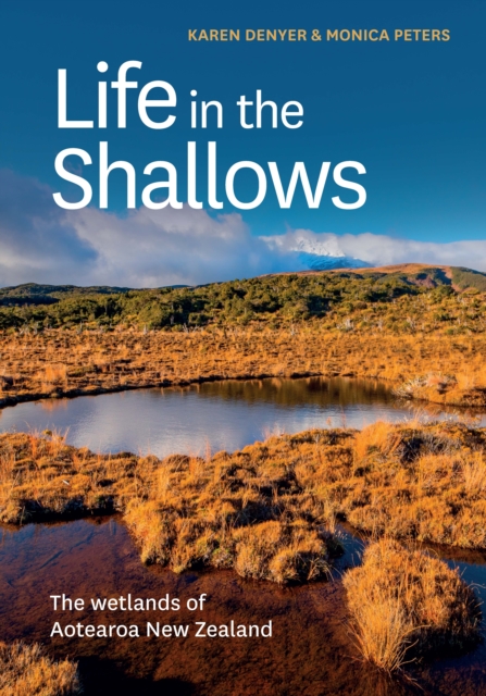 Life in the Shallows : The wetlands of Aotearoa New Zealand, Paperback / softback Book