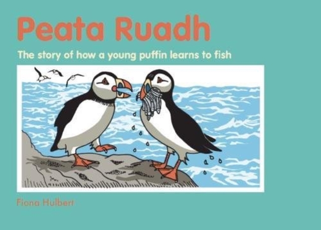 Peata Ruadh : The story of how a young puffin learns to fish, Paperback / softback Book