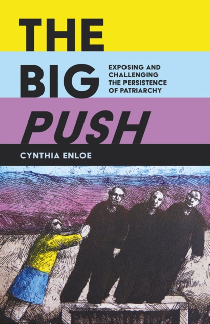 The Big Push : Exposing and Challenging the Persistence of Patriarchy, Paperback / softback Book