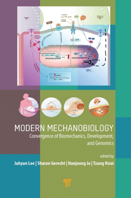 Modern Mechanobiology : Convergence of Biomechanics, Development, and Genomics, PDF eBook