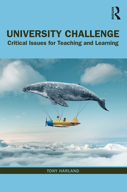 University Challenge : Critical Issues for Teaching and Learning, PDF eBook