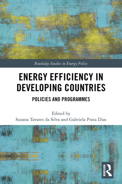 Energy Efficiency in Developing Countries : Policies and Programmes, EPUB eBook