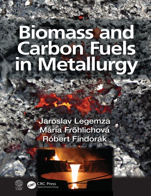Biomass and Carbon Fuels in Metallurgy, PDF eBook