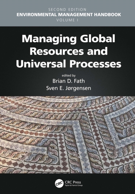 Managing Global Resources and Universal Processes, EPUB eBook