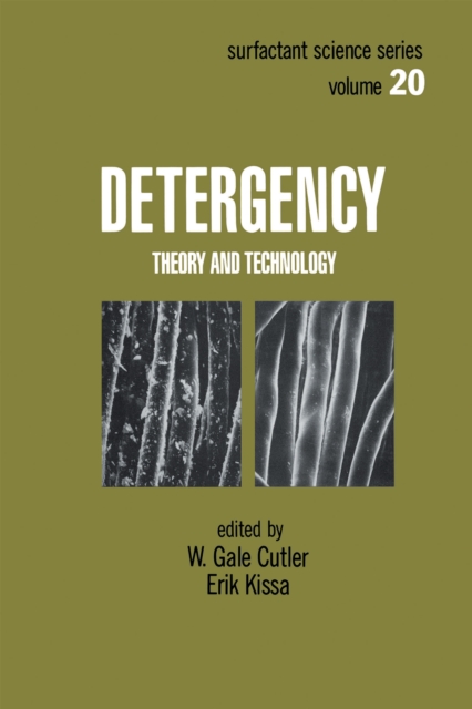 Detergency : Theory and Technology, PDF eBook