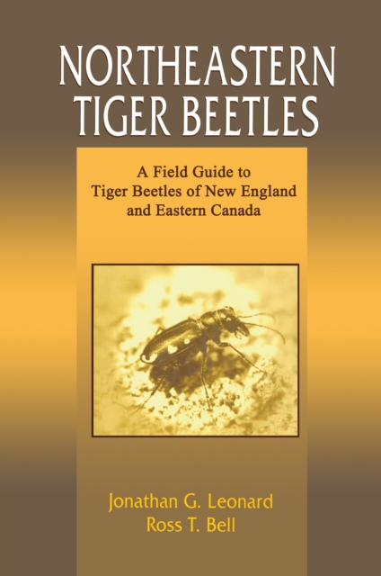 Northeastern Tiger Beetles : A Field Guide to Tiger Beetles of New England and Eastern Canada, PDF eBook