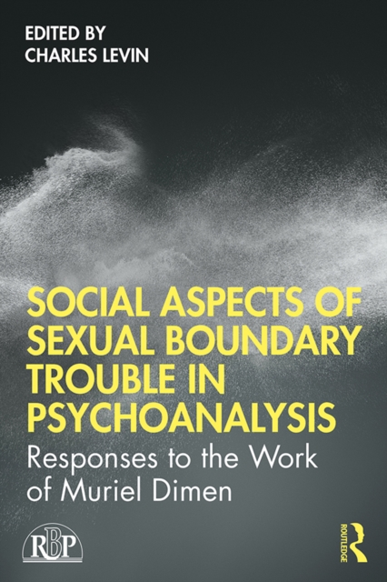 Social Aspects Of Sexual Boundary Trouble In Psychoanalysis : Responses to the Work of Muriel Dimen, EPUB eBook