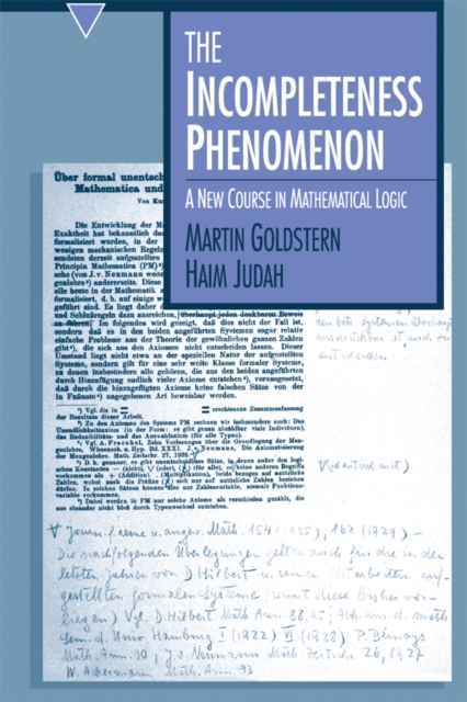 The Incompleteness Phenomenon, PDF eBook