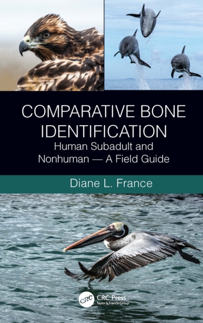Comparative Bone Identification : Human Subadult and Nonhuman - A Field Guide, PDF eBook