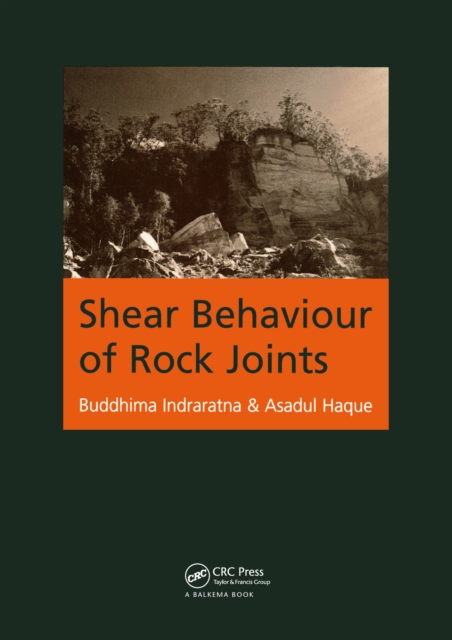 Shear Behaviour of Rock Joints, PDF eBook