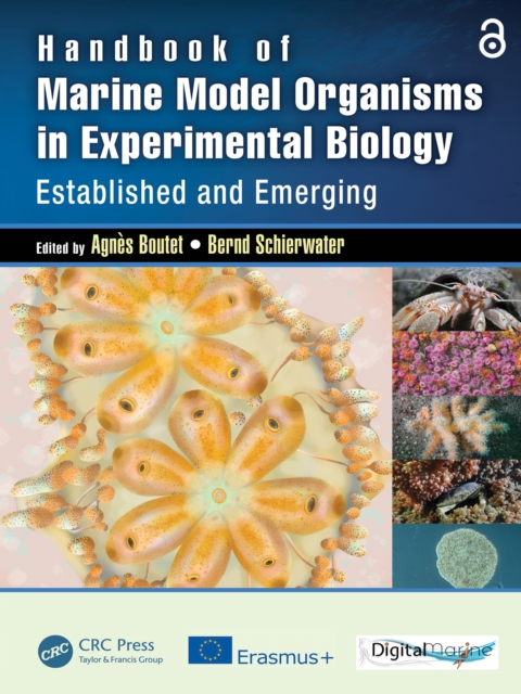 Handbook of Marine Model Organisms in Experimental Biology : Established and Emerging, PDF eBook