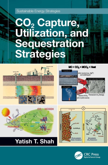 CO2 Capture, Utilization, and Sequestration Strategies, PDF eBook