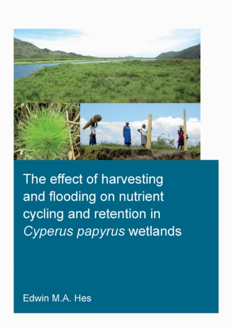 The effect of harvesting and flooding on nutrient cycling and retention in Cyperus papyrus wetlands, PDF eBook