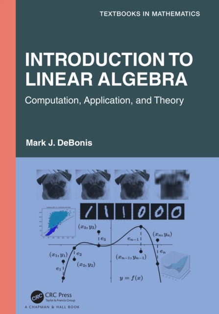 Introduction To Linear Algebra : Computation, Application, and Theory, EPUB eBook