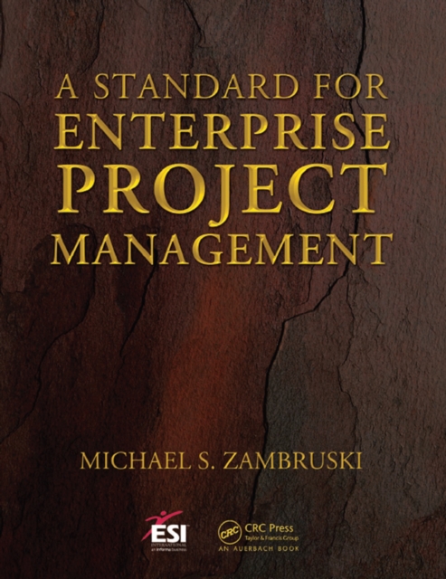 A Standard for Enterprise Project Management, EPUB eBook