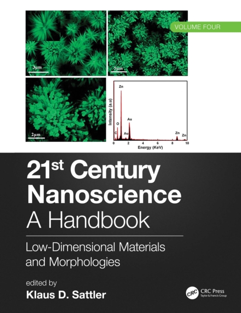 21st Century Nanoscience - A Handbook : Low-Dimensional Materials and Morphologies (Volume Four), EPUB eBook