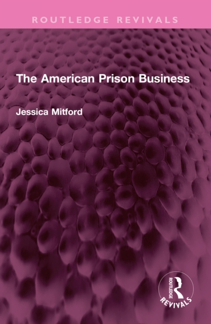 The American Prison Business, PDF eBook