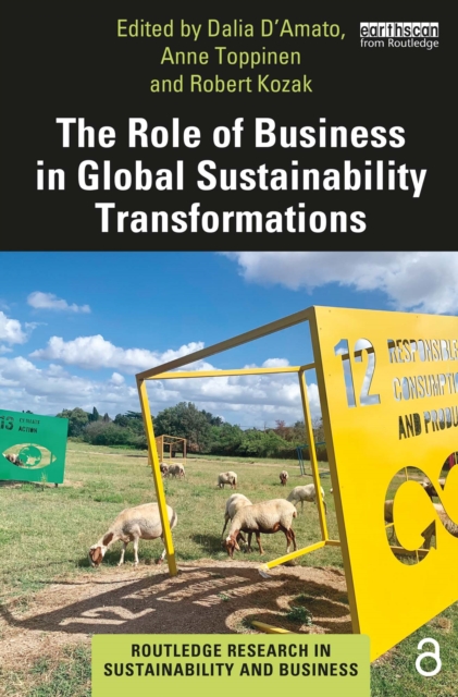 The Role of Business in Global Sustainability Transformations, PDF eBook