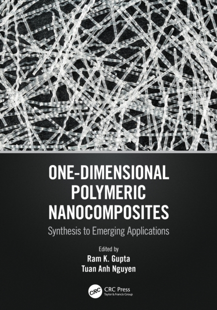 One-Dimensional Polymeric Nanocomposites : Synthesis to Emerging Applications, EPUB eBook