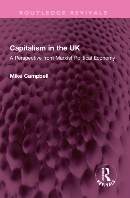 Capitalism in the UK : A Perspective from Marxist Political Economy, PDF eBook