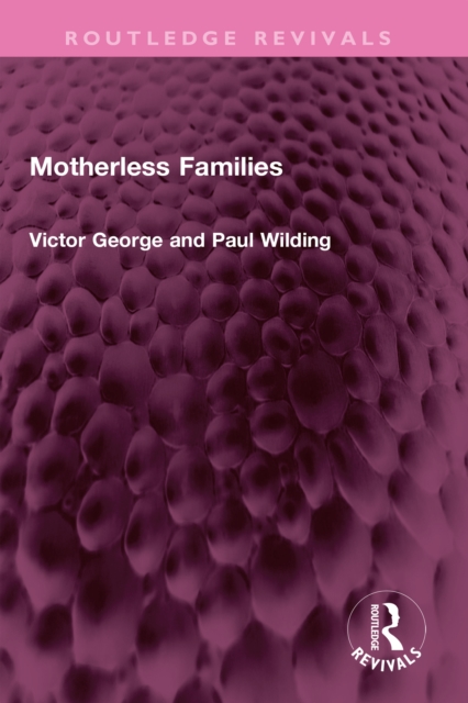 Motherless Families, PDF eBook