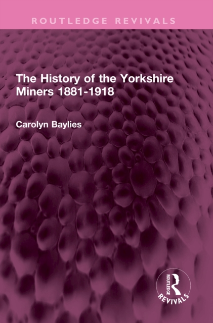 The History of the Yorkshire Miners 1881-1918, EPUB eBook