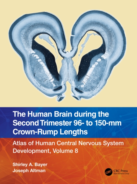The Human Brain during the Second Trimester 96- to 150-mm Crown-Rump Lengths : Atlas of Human Central Nervous System Development, Volume 8, PDF eBook