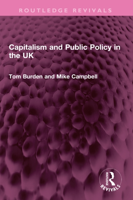Capitalism and Public Policy in the UK, PDF eBook