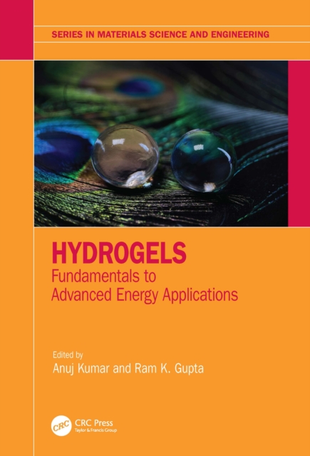 Hydrogels : Fundamentals to Advanced Energy Applications, PDF eBook