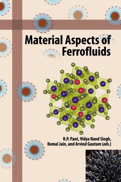 Material Aspects of Ferrofluids, EPUB eBook