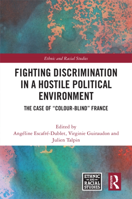 Fighting Discrimination in a Hostile Political Environment : The Case of "Colour-Blind" France, EPUB eBook